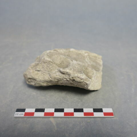 moule, image 2/3