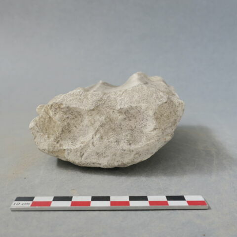 moule, image 3/3