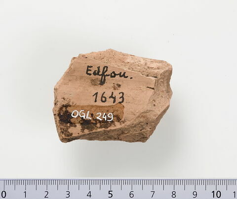 ostracon, image 2/2