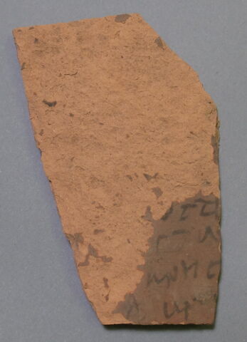 ostracon, image 1/1
