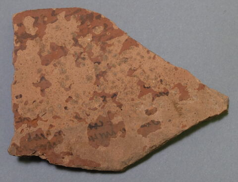 ostracon, image 1/1