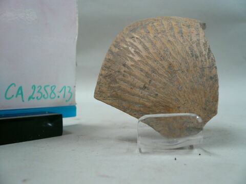 vase, image 1/1