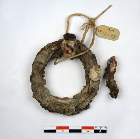 anneau ; clou, image 1/1