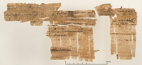 papyrus documentaire, image 2/2