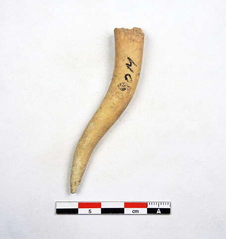 clou, image 1/1