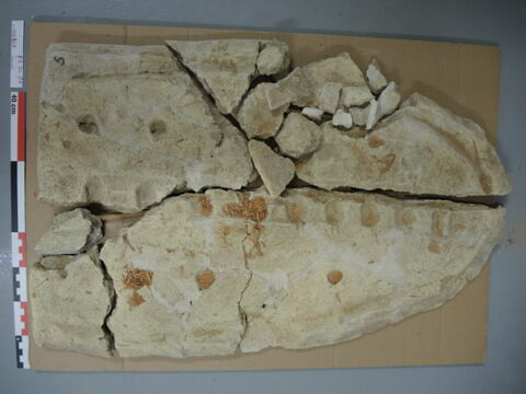 couvercle de sarcophage, image 4/4