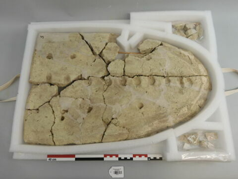 couvercle de sarcophage, image 1/4
