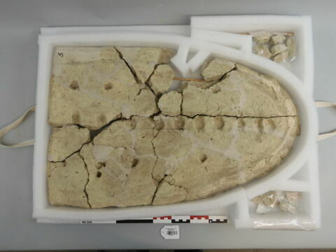 couvercle de sarcophage, image 2/4