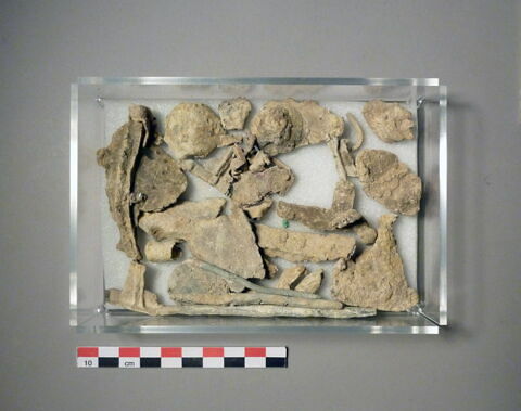 fragment, image 1/1