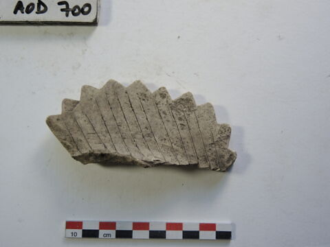 vase ; fragment, image 1/1
