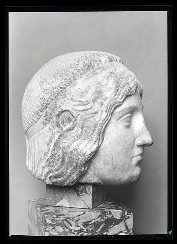 profil droit © Musée du Louvre / Maurice et Pierre Chuzeville