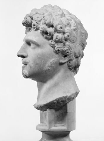 profil gauche © 1990 Musée du Louvre / Christian Larrieu