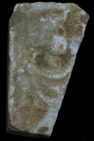 Stèle votive à Saturne (fragment), image 1/2