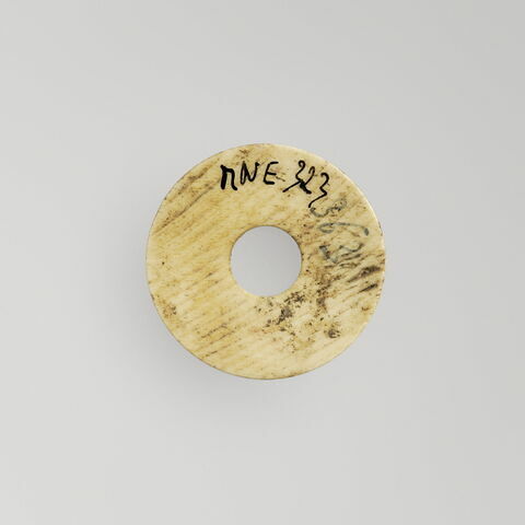 fusaïole, image 2/2