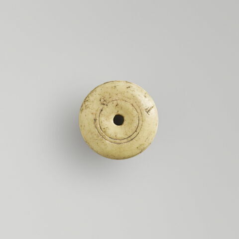 fusaïole, image 1/2
