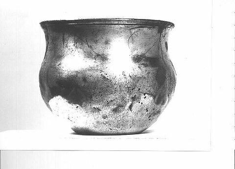 Trésor de Boscoreale : vase, image 1/1