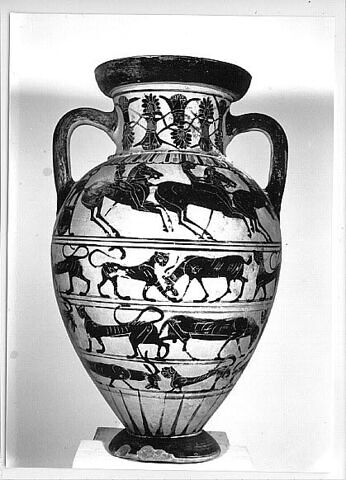 amphore, image 7/7