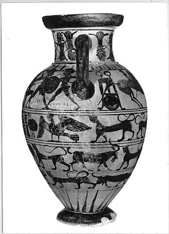 amphore, image 5/7