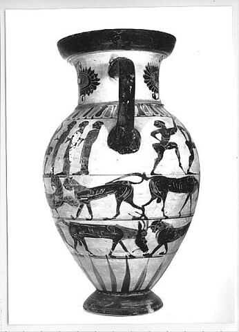 amphore, image 6/9