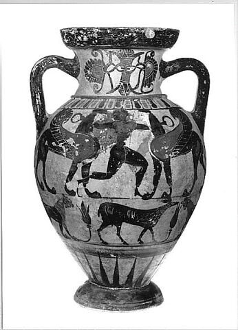 amphore, image 6/8