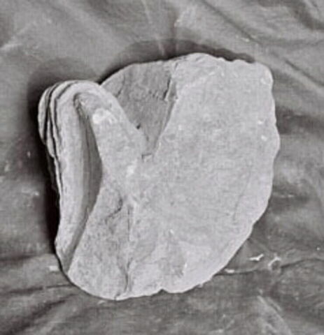 métope  ; Tirage intégral d'un fragment de draperie.