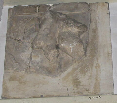 métope ; Tirage intégral de la métope d'Héraklès contre le lion de Némée
