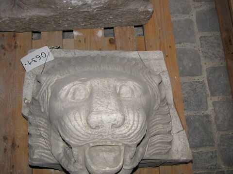 chéneau  ; Tirage partiel d’une gargouille en forme de tête de lion