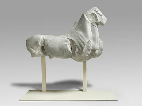 Tirage d’un poitrail de cheval, image 1/1