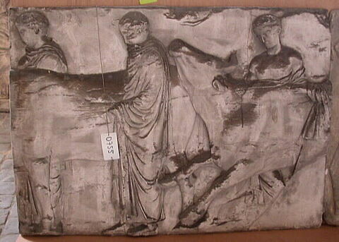 Tirage d'une plaque de la frise nord du Parthénon représentant des hommes conduisant deux génisses au sacrifice