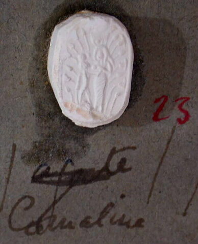 empreinte d'intaille, image 1/1