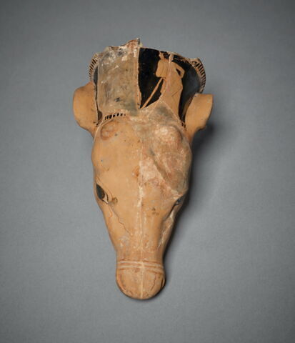 rhyton ; vase plastique, image 3/7