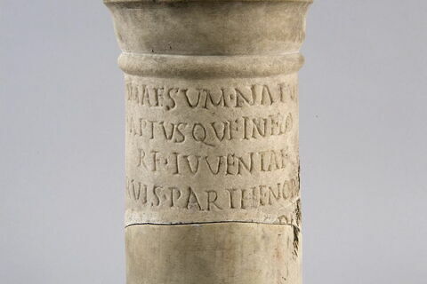cippe, image 2/5