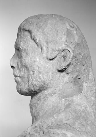 profil gauche ; détail © 1989 Musée du Louvre / Maurice et Pierre Chuzeville