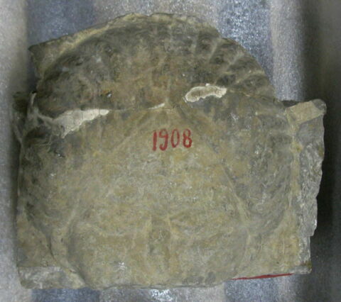 stèle, image 2/2