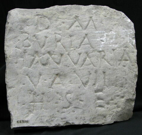 inscription, image 2/2