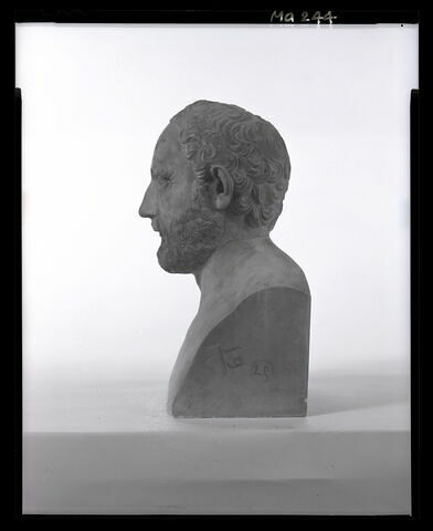 profil droit © 1998 Musée du Louvre / Patrick Lebaube