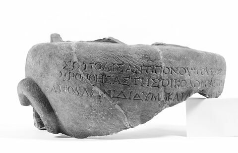 dinos  ; inscription, image 5/6