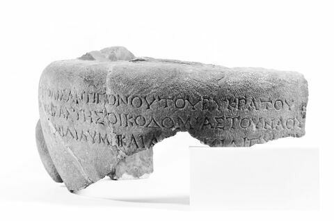 dinos  ; inscription, image 6/6