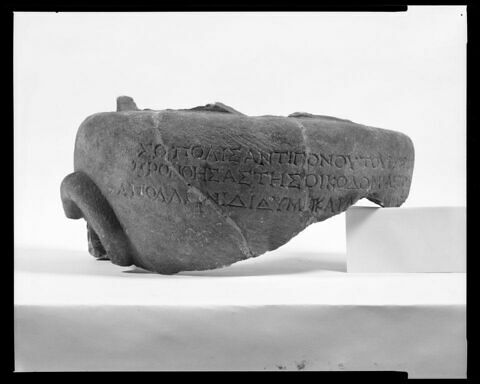 dinos  ; inscription, image 3/6
