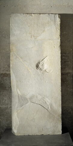 stèle ; inscription ; Décret de la cité de Iasos : confiscation et vente des biens des exilés ayant conspiré contre Mausole
