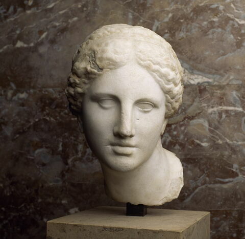 statue  ; Tête de l'Aphrodite Kaufmann