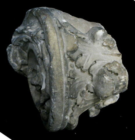 chapiteau, image 4/4