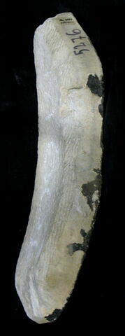 relief, image 3/3