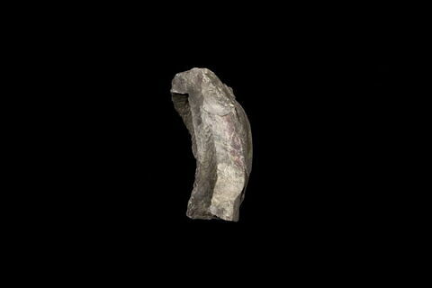 statue en buste, image 3/4