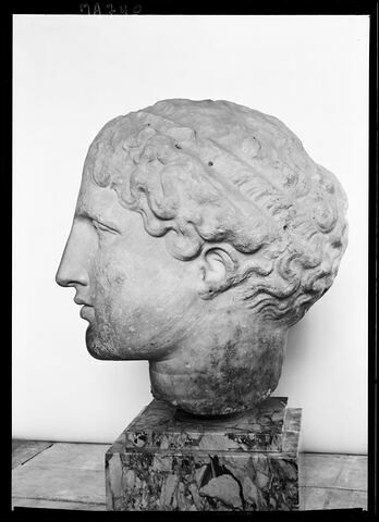 profil gauche © Musée du Louvre / Maurice et Pierre Chuzeville