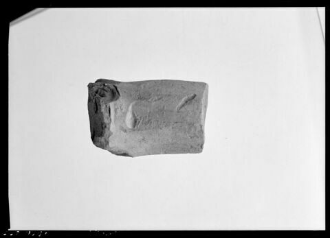 anse d'amphore commerciale, image 1/1
