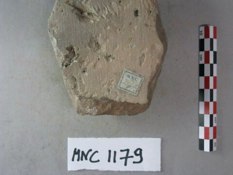 brique, image 4/4