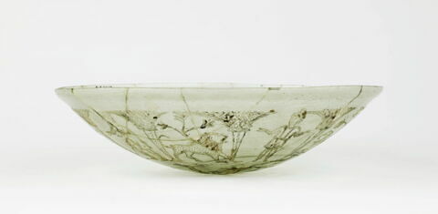 coupe d'Homblières, image 5/6