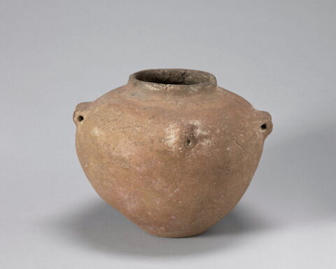 pyxis, image 3/4