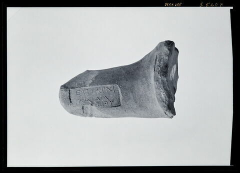 anse d'amphore commerciale, image 1/1